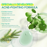 BREYLEE Patchs anti-acné hydrocolloïdes invisibles pour la nuit avec acide salicylique et huile d'arbre à thé