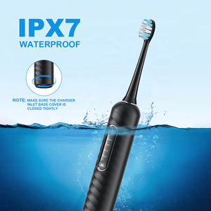 Brosse à dents 3-en-1 recommandée par <span class=keywords><strong>le</strong></span> dentiste Water Flosser Élimination du <span class=keywords><strong>tartre</strong></span> Blanchiment <span class=keywords><strong>pour</strong></span> <span class=keywords><strong>le</strong></span> marché américain/européen Certifié CE/FDA - Product Image 6