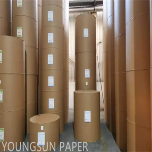 กระดาษแข็งสีขาวพื้นขาวสำหรับถ้วยและแพ็คอาหารเคลือบ PE - Product Image 6