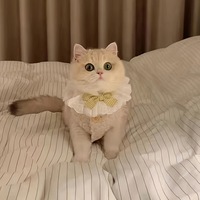 Collier pour chat mignon, foulard pour animaux de compagnie, bavoir, serviette anti-bave pour chien, accessoires, nœud papillon à carreaux style princesse, garniture en dentelle de polyester