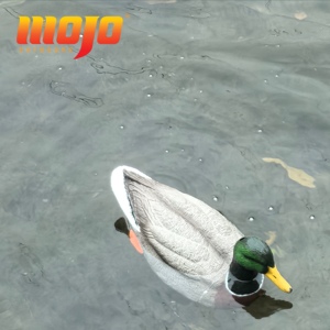<span class=keywords><strong>MOJO</strong></span> Outdoors Dabbler Duck - Leurre de chasse réaliste pour canard colvert <span class=keywords><strong>m</strong></span>âle, imperméable et à mouvement, pour la chasse aux oiseaux aquatiques - Product Image 5