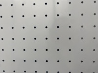 Panneau perforé multifonction en acier, organisateur mural, kit de bureau, panneau à outils pour crochets muraux, présentoir