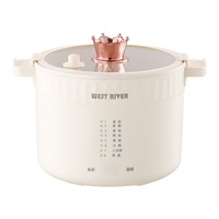 Casserole électrique à micro-pression 600W à cuisson rapide avec couvercle transparent, multifonction pour repas rapides, bouillie et fondue, facile à nettoyer