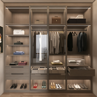 Dressing semi-ouvert personnalisable avec éclairage LED pour chambres de luxe, armoire intégrée élégante avec quincaillerie dorée