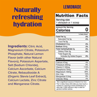 Rosebest OEM Private Label Sports Nutrition Supplement Sugar Free Natural Lemonade Flavor Vegan Hydration Electrolytes Powder
