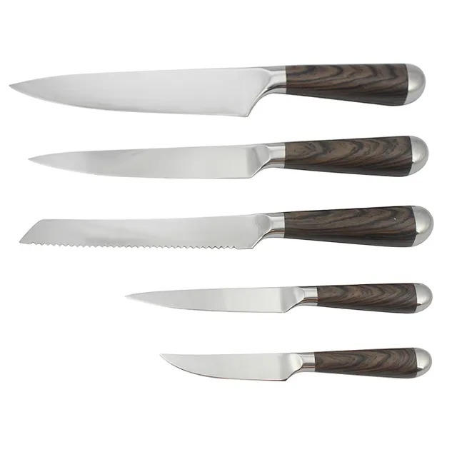 Stainless steel 5 piece knife set with hollow handle