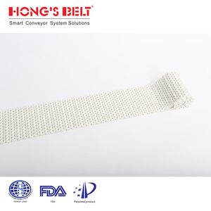 Hongsbet fırın sanayi ucuz fiyat gıda fabrikası plastik konveyör bant - Product Image 2