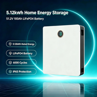 Batterie de stockage d'énergie hybride domestique 5,12 kWh 51,2 V 100 Ah LiFePO4 murale ou au sol pour système solaire résidentiel