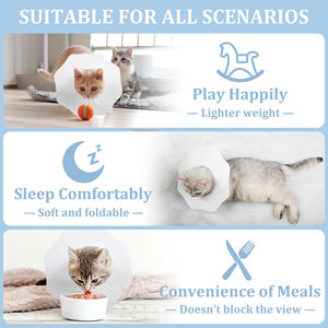 <span class=keywords><strong>Collar</strong></span> de cono para perros Cono flexible desechable para perros después de la cirugía <span class=keywords><strong>Collar</strong></span> de recuperación para perros - Product Image 6
