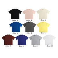 Nouveau T-shirt Unisexe Personnalisé avec Logo OEM, Style Sport Décontracté pour Jeunes, Motif Uni, Tricot Vintage 260 Grammes, Printemps-Été