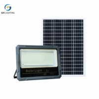 Projecteur solaire de jardin LED COB 100W/500W, IP65, certifié CE, contrôle de la lumière + détection radar, coque ABS, 60000LM, angle de faisceau 70*140