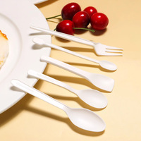 Cubiertos Desechables de Lujo Modernos y Ecológicos, Biodegradables, de CPLA (Ácido Poliláctico) y Almidón de Maíz, Personalizados OEM ODM, para Fiestas de Helado