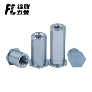 Fenglian <b>Blue</b> White Zinc Plated <b>Blind</b> Hole Press Fit Nuts M3 M4 M5 M6 Carbon Steel Grade A For Construction Industry - Product Image 3