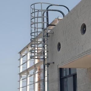 Escaleras de jaula montadas en la pared 2026: Escaleras de <span class=keywords><strong>emergencia</strong></span> para techos industriales de almacenes - Product Image 4