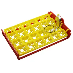 bandeja de ovos incubadora turner Suppliers-Incubadora de ovos automática de plástico, 24 ovos de aves, pato de galinha, bandejas turner, incubadora para venda