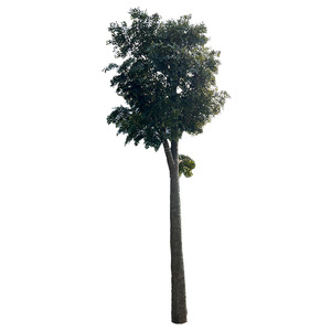 Arbre artificiel de grande taille Shenghong Landscape Simulated Banyan Tree pour décoration intérieure, avec tronc enveloppé, pour aménagement paysager - Product Image 1
