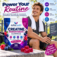 Gummies de créatine monohydrate sans sucre pour adultes, faibles en glucides, 5g par portion, soutien à la récupération musculaire et à la force (Marque Blanche)
