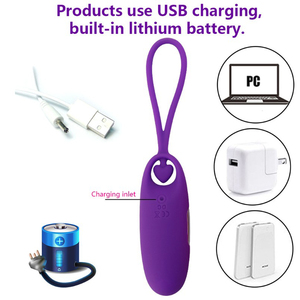 <b>Vibrating</b> Egg Clitoral <b>Vibrator</b> USB Rechargeable Waterproof Adult Stimulation Toy - Product Image 2