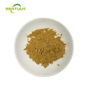 Angelica archangelica Extract 10:1 Chinese herbal extract Angelica archangelica Extract