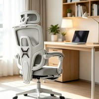Chaise de bureau ergonomique moderne pour la maison, chaise d'apprentissage en maille pour e-sport, accoudoirs réglables en hauteur, base en acier inoxydable