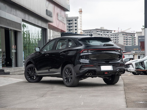 Dongfeng Forthing T5 EVO 2024 1.5TD <span class=keywords><strong>Auto</strong></span> a benzina nuovo Design di lusso <span class=keywords><strong>Auto</strong></span> 5 posti Suv a buon mercato a benzina per la vendita - Product Image 6