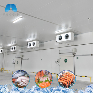 Arkref giá cả cạnh tranh mới nhất Tủ đông lạnh phòng <span class=keywords><strong>container</strong></span> lưu trữ cho thịt và cá - Product Image 1