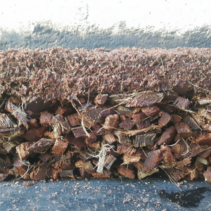 Sacs de culture en fibre de coco-Sacs de culture en plastique - Product Image 1