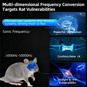 Dispositivo Elettrico Portatile Intelligente Multidimensionale a 360 Gradi con Conversione di Frequenza a Ultrasuoni per il Controllo di Topi e Scarafaggi in Casa e Hotel - Product Image 6