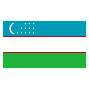 Logo personalizzato di spedizione veloce all'ingrosso 100% bandiere in poliestere 3 x5ft Uzbekistan bandiera di tutti i paesi