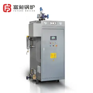 Chinese Practical 85KG Electric Heating Boiler for Mushroom