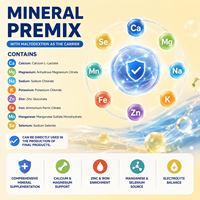 Poudre de prémélange minéral personnalisée avec calcium, magnésium, sodium, potassium, zinc et fer pour complément nutritionnel OEM