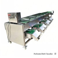 Rotatie sorteermachine voor kiwi, ui, zoete aardappel, garnalen, tomaat, ananas, en champignons (Korea)