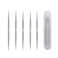 Juego de 5 piezas de herramientas de belleza y arte: Bolígrafo perforador de doble punta de plástico con mango metálico, pincel de nailon y herramienta de punteado angular estilo blush.