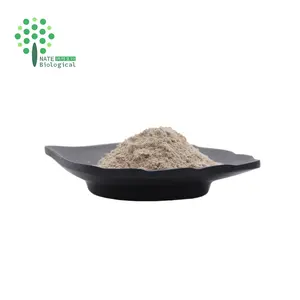 Bulk Supply Natural Irish Sea Moss Powder Irish Moss Extract