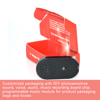 Emballage de boîte-cadeau surprise personnalisée pour anniversaire de Noël avec musique audio photosensible DIY éclairage automatique LED