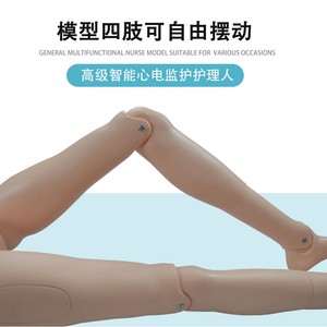 หุ่นจำลองฝึกอบรมการตรวจวัดคลื่นไฟฟ้าหัวใจขั้นสูง พร้อมการจำลองคอมพิวเตอร์ ECG หลายรูปแบบ หุ่นจำลองสอนการตรวจวัดคลื่นไฟฟ้าหัวใจสำหรับการใช้งานทางการแพทย์ - Product Image 3