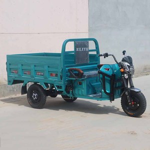 Nuovo Triciclo <span class=keywords><strong>Elettrico</strong></span> da Carico per Adulti dal Design Personalizzato per Uso Agricolo, Bici <span class=keywords><strong>Cargo</strong></span> Cinese - Product Image 5