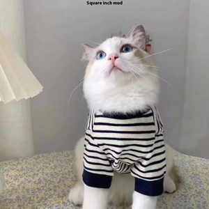 Sudadera de Algodón Sólido con Dibujos Animados de Invierno para Perros y <span class=keywords><strong>Gatos</strong></span>, Ropa para Mascotas de Dos Patas para las Cuatro Estaciones, Británico de Pelo Corto, Ragdoll, Venta al por Mayor - Product Image 2
