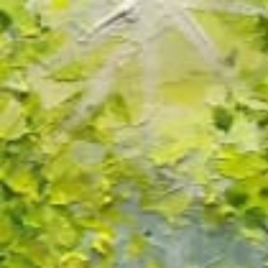 ภาพวาดสีน้ำมันแนวสติลเลฟไลฟ์เหมือนจริงสำหรับตกแต่งบ้าน ภาพศิลปะบนผืนผ้าใบสำหรับตกแต่งผนังบ้าน ตกแต่งภายในบ้าน ภาพวิวทิวทัศน์ ศิลปะตกแต่ง - Product Image 4