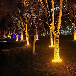 Neues Modell LED-Ringlicht mit Spike-Einsatz, Baumumfassende Gartenbeleuchtung für Landschaftsgestaltung, 24V IP67 Aluminium 12W DC-Stromversorgung - Product Image 6