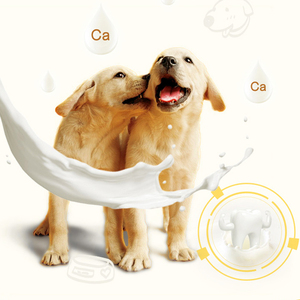 OEM en çok satan diş bakımı yıldız süt aroması diş bakımı kemik köpek aperatifler evcil hayvan ödül maması köpek için - Product Image 4
