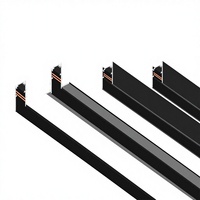 Accessoires pour rail magnétique LED Agi32, éclairage encastré pour salon, maison, avec rainure lumineuse dissimulée 37V-110V CXDG001