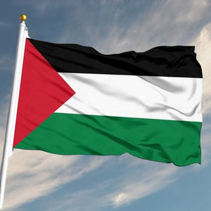Bandiere promozionali personalizzate bandiere Palestine 68D nazionale 90*150 bandiere in tessuto di poliestere 3*5 FT bandiere palestinesi - Product Image 1
