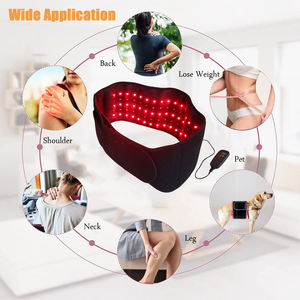 Masseur abdominal sans fil portable pour la perte de poids Healthpal OEM ODM de <span class=keywords><strong>Amazon</strong></span> - Product Image 6