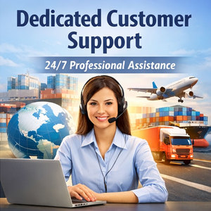 Servicio de Entrega a Domicilio, Transporte Aéreo Rápido, Agente de Carga FBA, Servicios Logísticos DDP con Cotización desde Shenzhen - Product Image 3