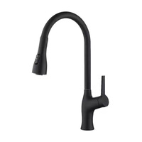 Robinet d'évier de cuisine direct d'usine Style classique moderne coulissant avec eau chaude froide rotative anti-éclaboussures lave-vaisselle en laiton
