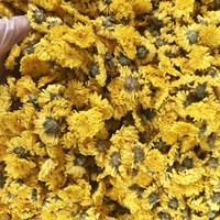 Teh Bunga Krisan Emas Kualitas Terbaik Grosir, Teh Herbal Bunga Krisan Alami
