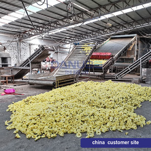 Máquina de hierba seca con control automático continuo Máquina de secado de algas Máquina de procesamiento de Mango Seco - Product Image 3