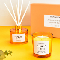 Ensemble de bougies aromatiques en cire de soja faites à la main de luxe et diffuseur à bâtonnets, parfum longue durée, décoration moderne pour la maison et les fêtes