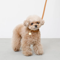 Collier réglable en cuir PU écologique personnalisé pour chien de compagnie collier de chien en cuir synthétique avec breloque en cercle